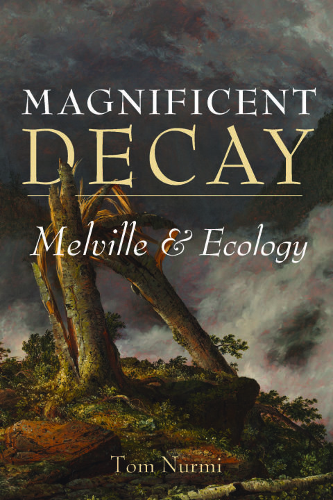 Cover image for book Magnificent Decay