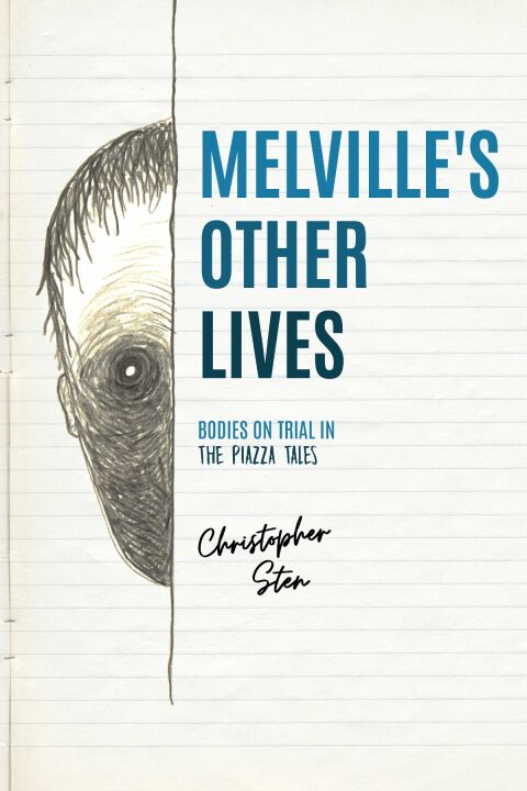 Cover image for book Melville’s Other Lives