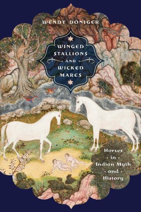 Cover image for book Winged Stallions and Wicked Mares