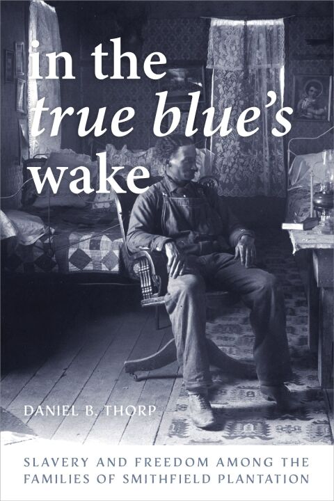 Cover image for book In the True Blue's Wake
