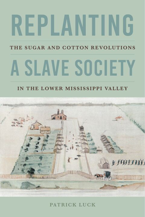 Cover image for book Replanting a Slave Society