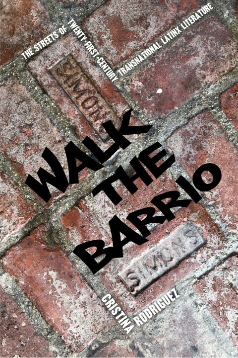 Cover image for book Walk the Barrio