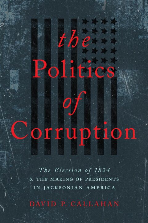 Cover image for book The Politics of Corruption