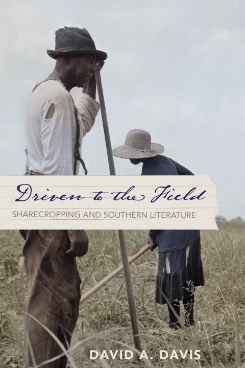 Cover image for book Driven to the Field