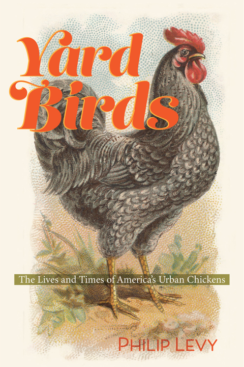 Cover image for book Yard Birds