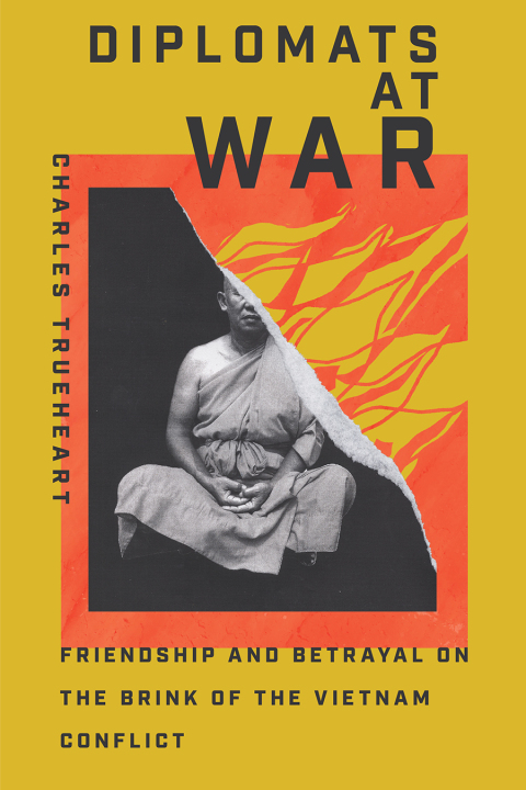 Cover image for book Diplomats at War