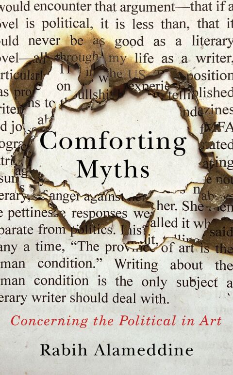 Cover image for book Comforting Myths