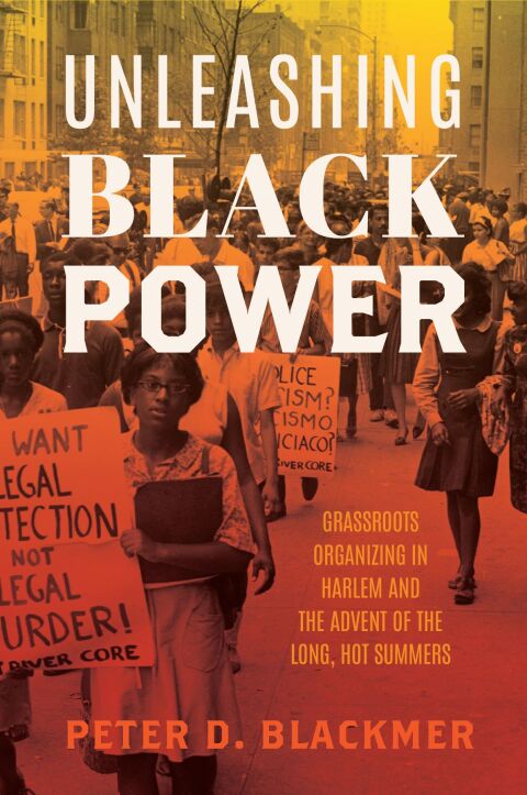 Cover image for book Unleashing Black Power