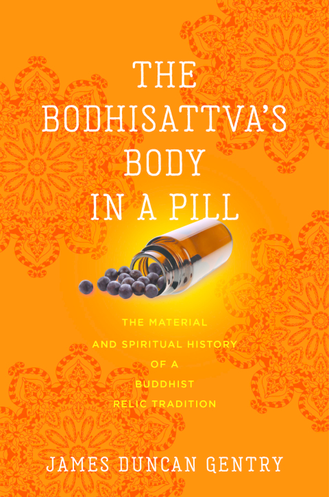 Cover image for book The Bodhisattva’s Body in a Pill