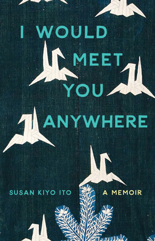 I Would Meet You Anywhere