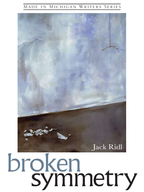 Cover image for book Broken Symmetry