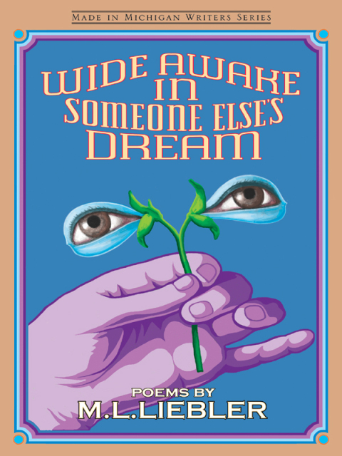 Cover image for book Wide Awake in Someone Else's Dream