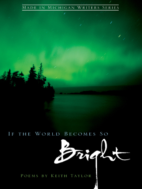 Cover image for book If the World Becomes So Bright