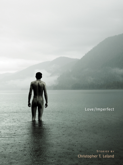 Cover image for book Love/Imperfect