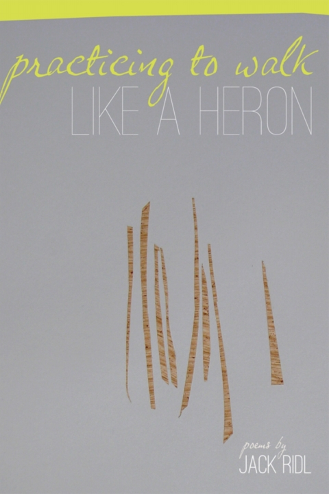 Cover image for book Practicing to Walk Like a Heron