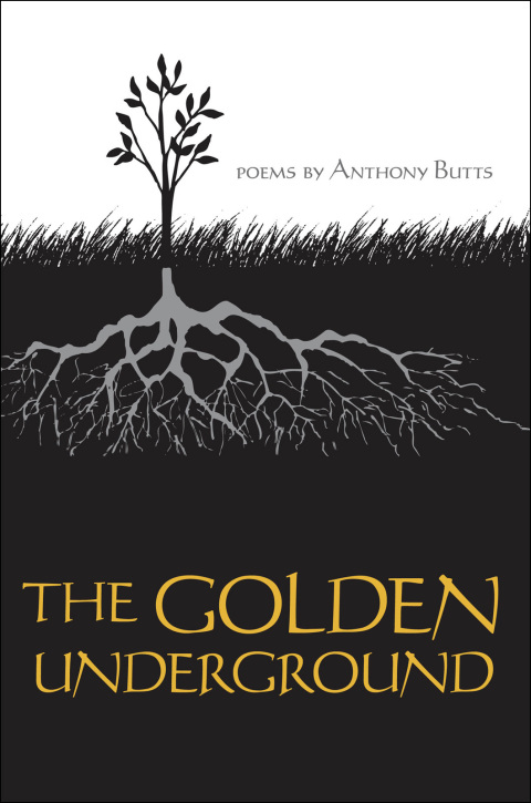 Cover image for book The Golden Underground