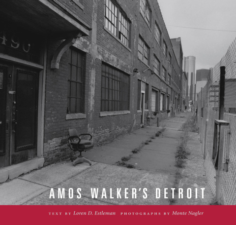 Cover image for book Amos Walker's Detroit