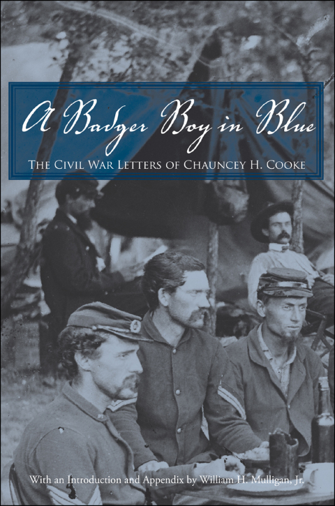 Cover image for book A Badger Boy in Blue