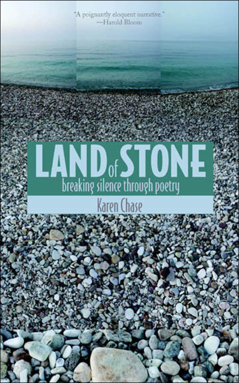 Cover image for book Land of Stone