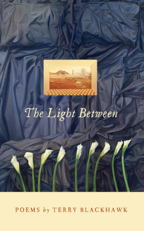 Cover image for book The Light Between