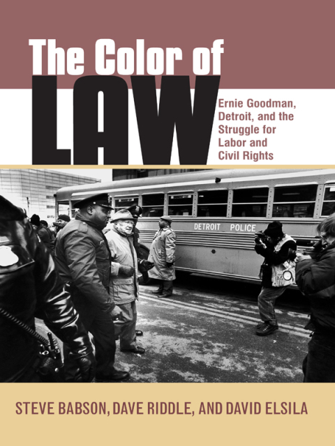 Cover image for book The Color of Law