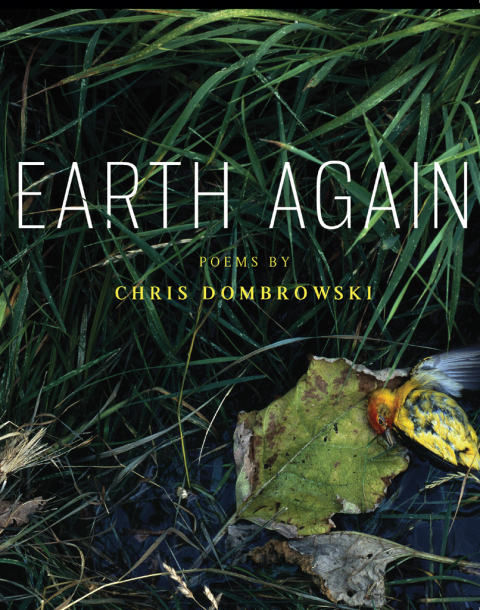 Cover image for book Earth Again