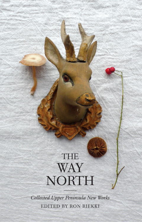 Cover image for book The Way North