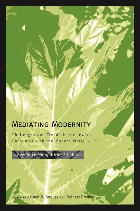 Cover image for book Mediating Modernity