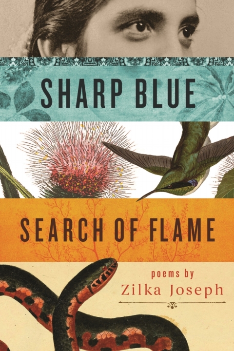 Cover image for book Sharp Blue Search of Flame