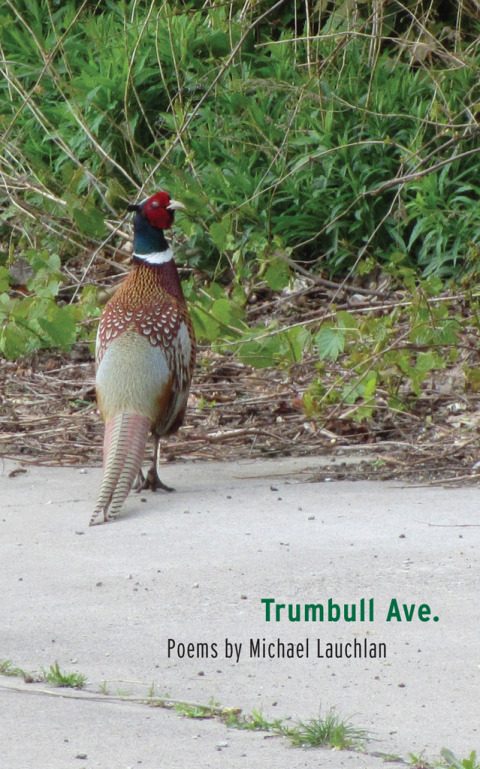 Cover image for book Trumbull Ave.