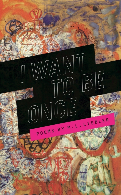 Cover image for book I Want to Be Once