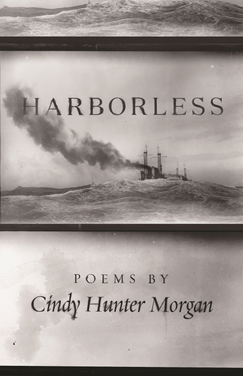 Cover image for book Harborless