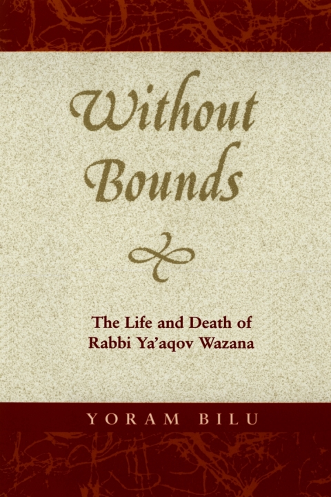 Cover image for book Without Bounds