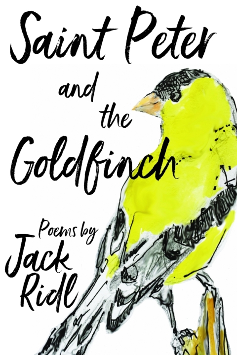Cover image for book Saint Peter and the Goldfinch