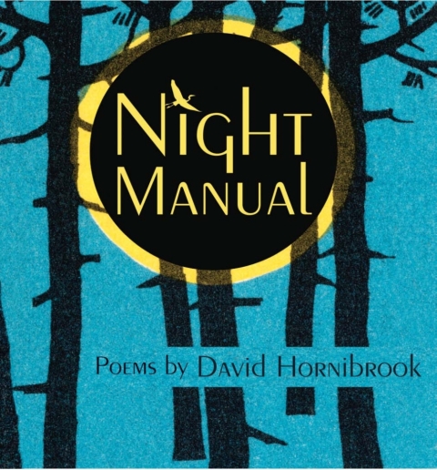 Cover image for book Night Manual