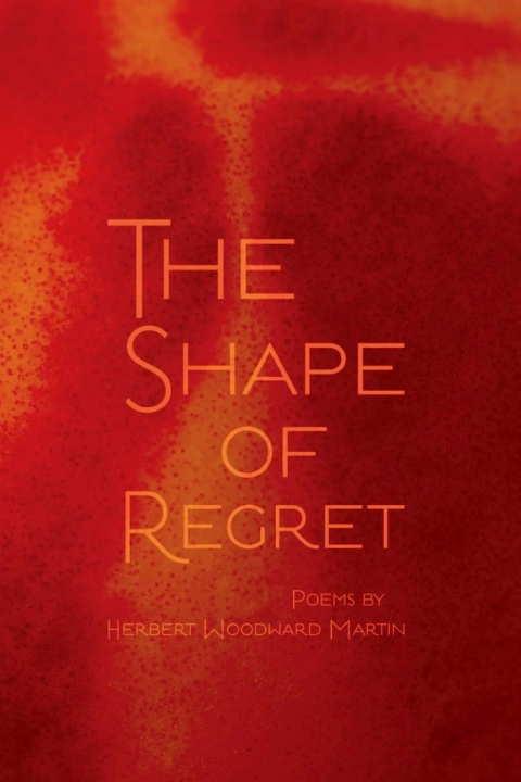 Cover image for book The Shape of Regret