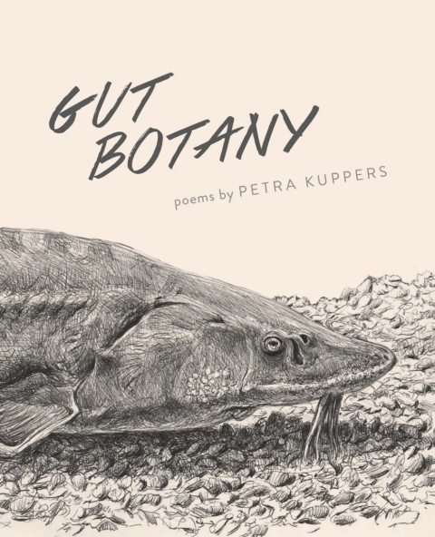 Cover image for book Gut Botany