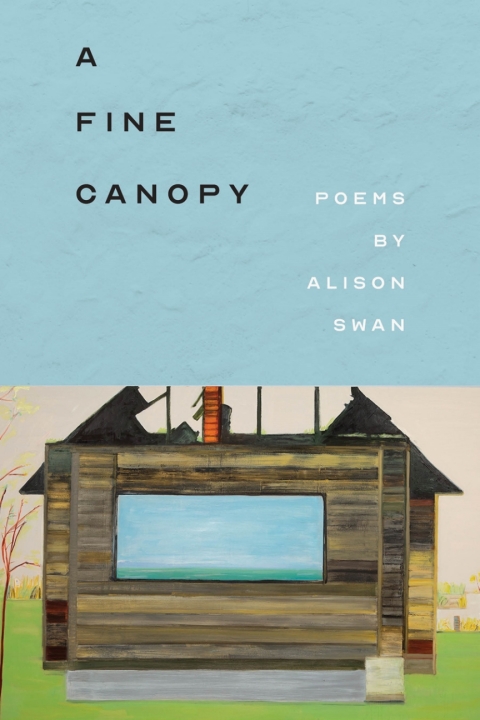 Cover image for book A Fine Canopy