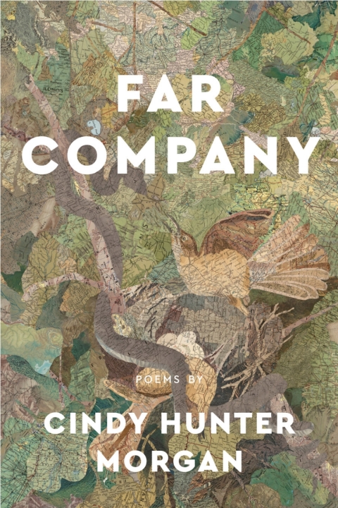 Cover image for book Far Company
