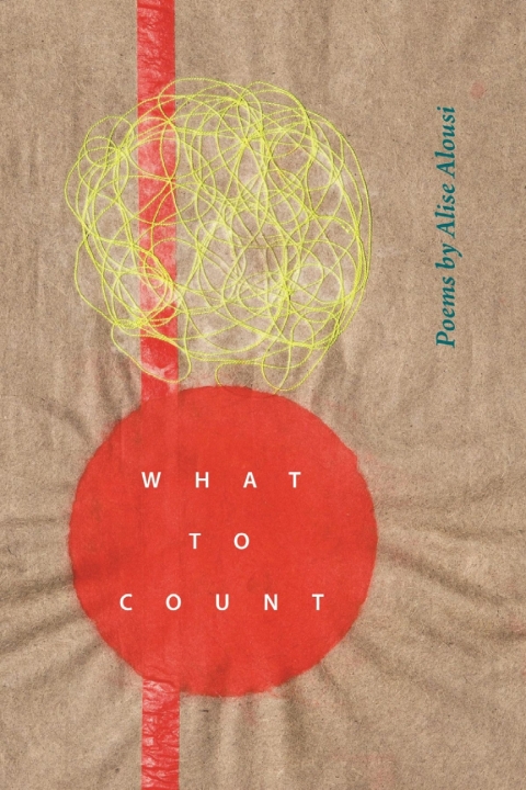 Cover image for book What to Count