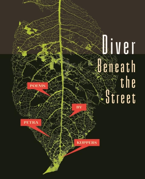 Cover image for book Diver Beneath the Street