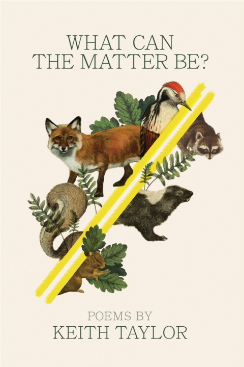 Cover image for book What Can the Matter Be?