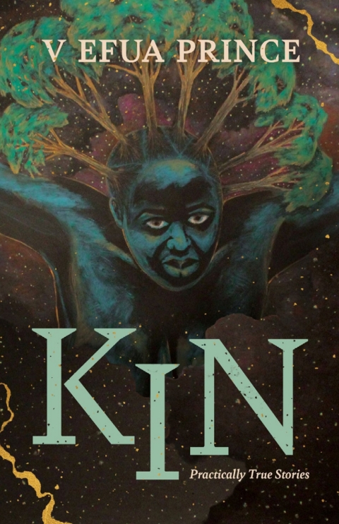 Cover image for book Kin