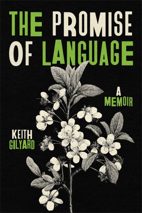 Cover image for book The Promise of Language