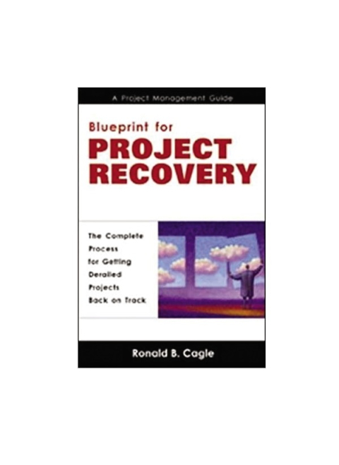 Cover image for book Blueprint for Project Recovery--A Project Management Guide