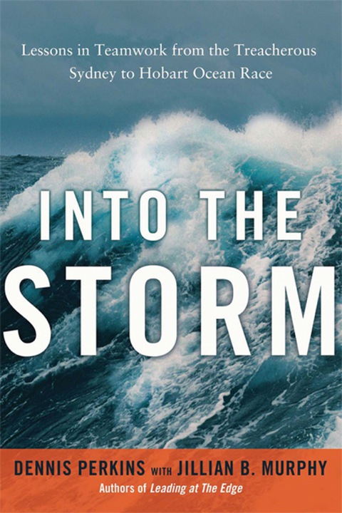 Cover image for book Into the Storm