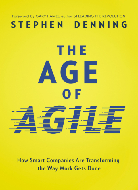 Cover image for book The Age of Agile