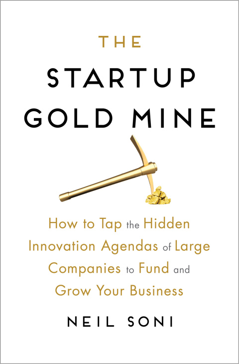 Cover image for book The Startup Gold Mine