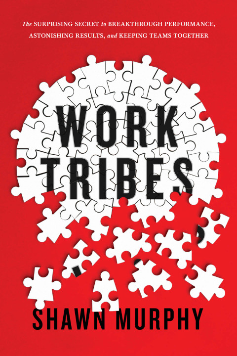 Cover image for book Work Tribes
