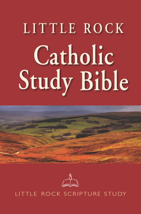 Cover image for book Little Rock Catholic Study Bible